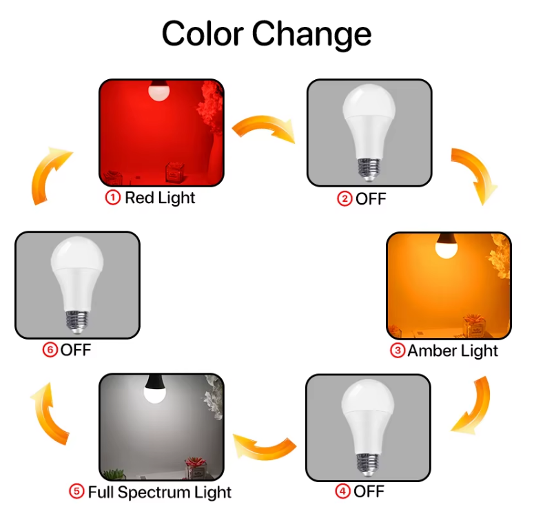Blue-Light & Flicker Free Bulb